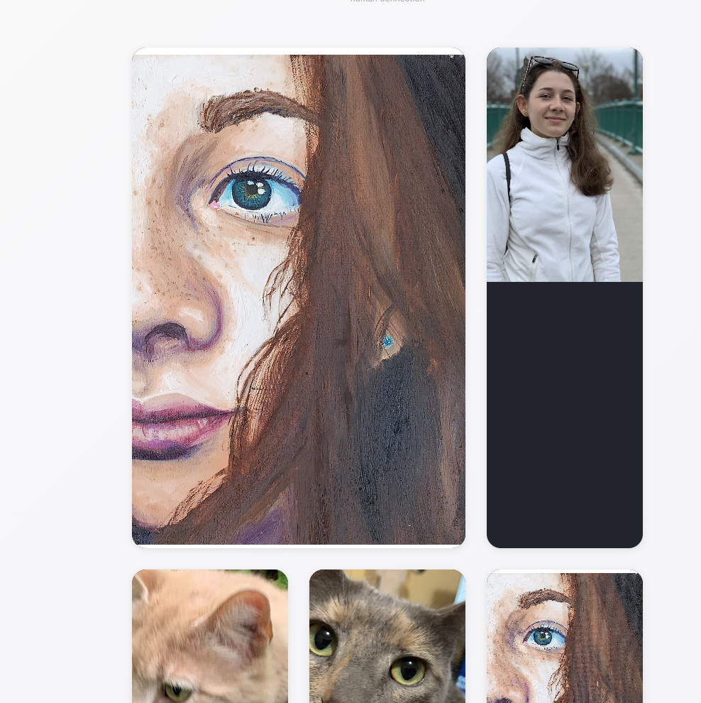 Jarvis - The Artist's Cat